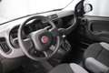 Fiat Panda CROSS 1.0 GSE 51kW Hybrid Klimaanlage, Radiovor... Gris - thumbnail 7