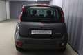 Fiat Panda CROSS 1.0 GSE 51kW Hybrid Klimaanlage, Radiovor... Grau - thumbnail 5
