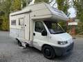 Fiat Ducato Ducato Camper Mobilhome 3 zit - 5 Slaapplaatsen - thumbnail 2