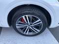 Audi Q5 Q5 40TDI SP.BACK mhev S line Plus quattro 204cv AT Bianco - thumbnail 6