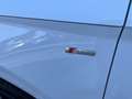 Audi Q5 Q5 40TDI SP.BACK mhev S line Plus quattro 204cv AT Bianco - thumbnail 7