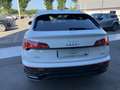 Audi Q5 Q5 40TDI SP.BACK mhev S line Plus quattro 204cv AT Bianco - thumbnail 8