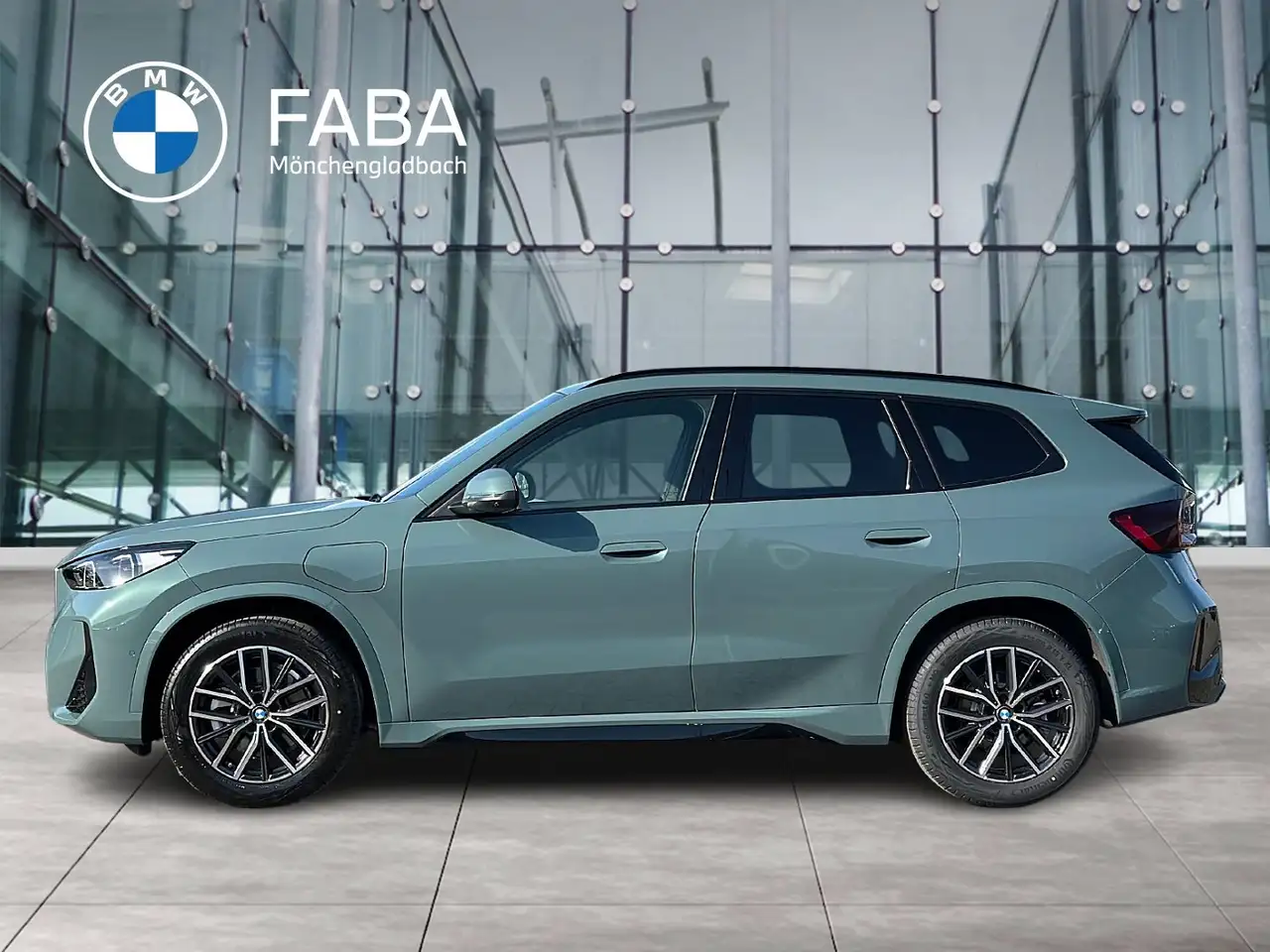 BMW X1 xDrive25e M Sportpaket Head-Up HK HiFi DAB 5