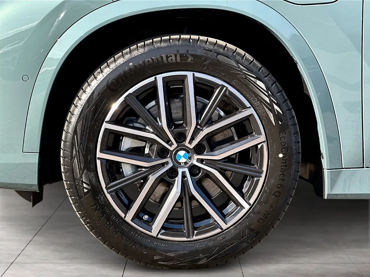 BMW X1 xDrive25e M Sportpaket Head-Up HK HiFi DAB 6