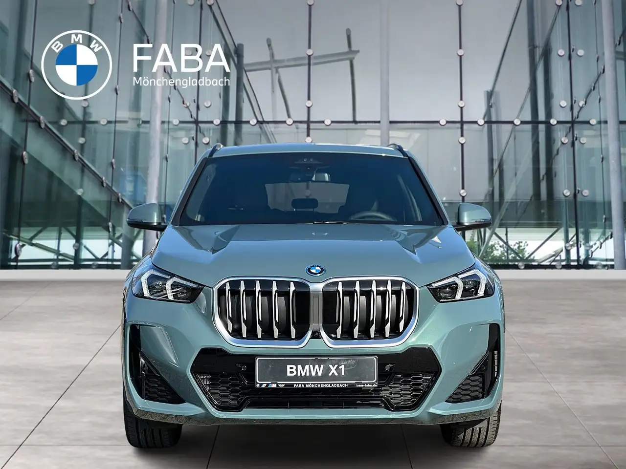 BMW X1 xDrive25e M Sportpaket Head-Up HK HiFi DAB 3