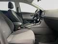 SEAT Leon Leon Break Move! Ultima 1.0 TSI 115CV (85kW) MANUELLE 6v Start/Stop EURO 6 DG Gris - thumbnail 13