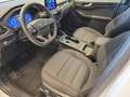 Ford Kuga 2,0 EcoBlue ST-Line AWD Aut. Weiß - thumbnail 6