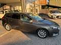 Ford Focus Focus SW 1.5 TDCi 120 cv Titanium X Grigio - thumbnail 3