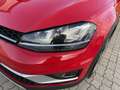 Volkswagen Golf Variant Alltrack BMT 2,0 TDI DSG 4Motion Rot - thumbnail 19