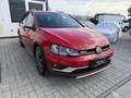 Volkswagen Golf Variant Alltrack BMT 2,0 TDI DSG 4Motion Rot - thumbnail 3