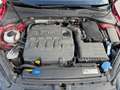 Volkswagen Golf Variant Alltrack BMT 2,0 TDI DSG 4Motion Rot - thumbnail 18