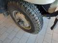 Fiat Campagnola DIESEL AUTOCARRO Beige - thumbnail 3