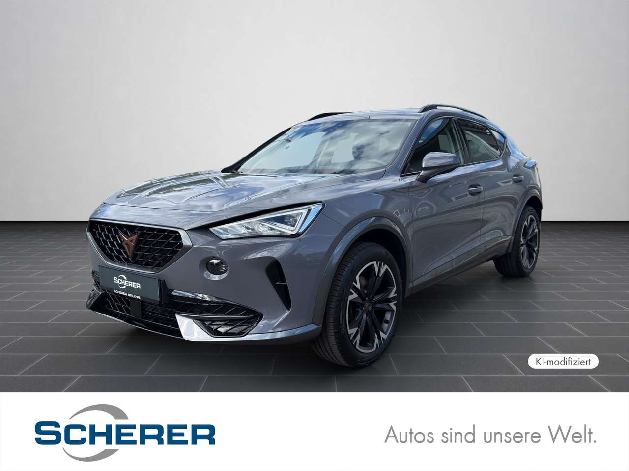 Cupra Formentor 2023 — 1.5 TSI DSG Full Link LED SHZ RFK 18"