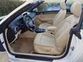 Audi A3 Cabrio 2,0 TDI Ambiente Weiß - thumbnail 7
