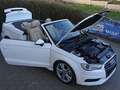 Audi A3 Cabrio 2,0 TDI Ambiente Weiß - thumbnail 16