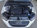 Audi A3 Cabrio 2,0 TDI Ambiente Weiß - thumbnail 4