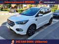 Ford Kuga 1.5 EcoBoost 150 CV S&S 2WD ST-Line Weiß - thumbnail 3