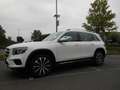 Mercedes-Benz GLB 250 GLB 4Matic 8G-DCT Progressive, MBUX, Navi-Premium Weiß - thumbnail 4