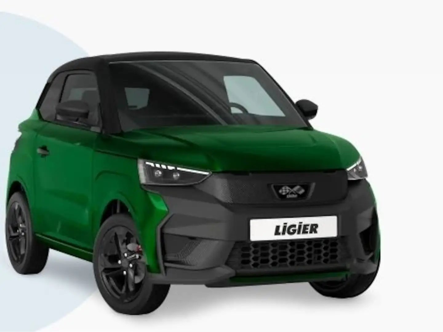 Ligier JS 50 Elite mit neuem Diesel Euro5+ Motor Grün - 2