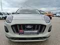 Ford Puma 1,0 EcoBoost Hybrid Titanium Aut. Gris - thumbnail 8