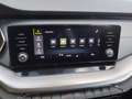 Skoda Octavia Business TDI Grau - thumbnail 18