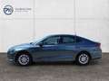 Skoda Octavia Business TDI Grau - thumbnail 3