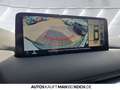 Mazda CX-5 e-SKYACTIV-G 194 Newground HUD LED 360v PDC Grün - thumbnail 13