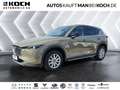 Mazda CX-5 e-SKYACTIV-G 194 Newground HUD LED 360v PDC Grün - thumbnail 1