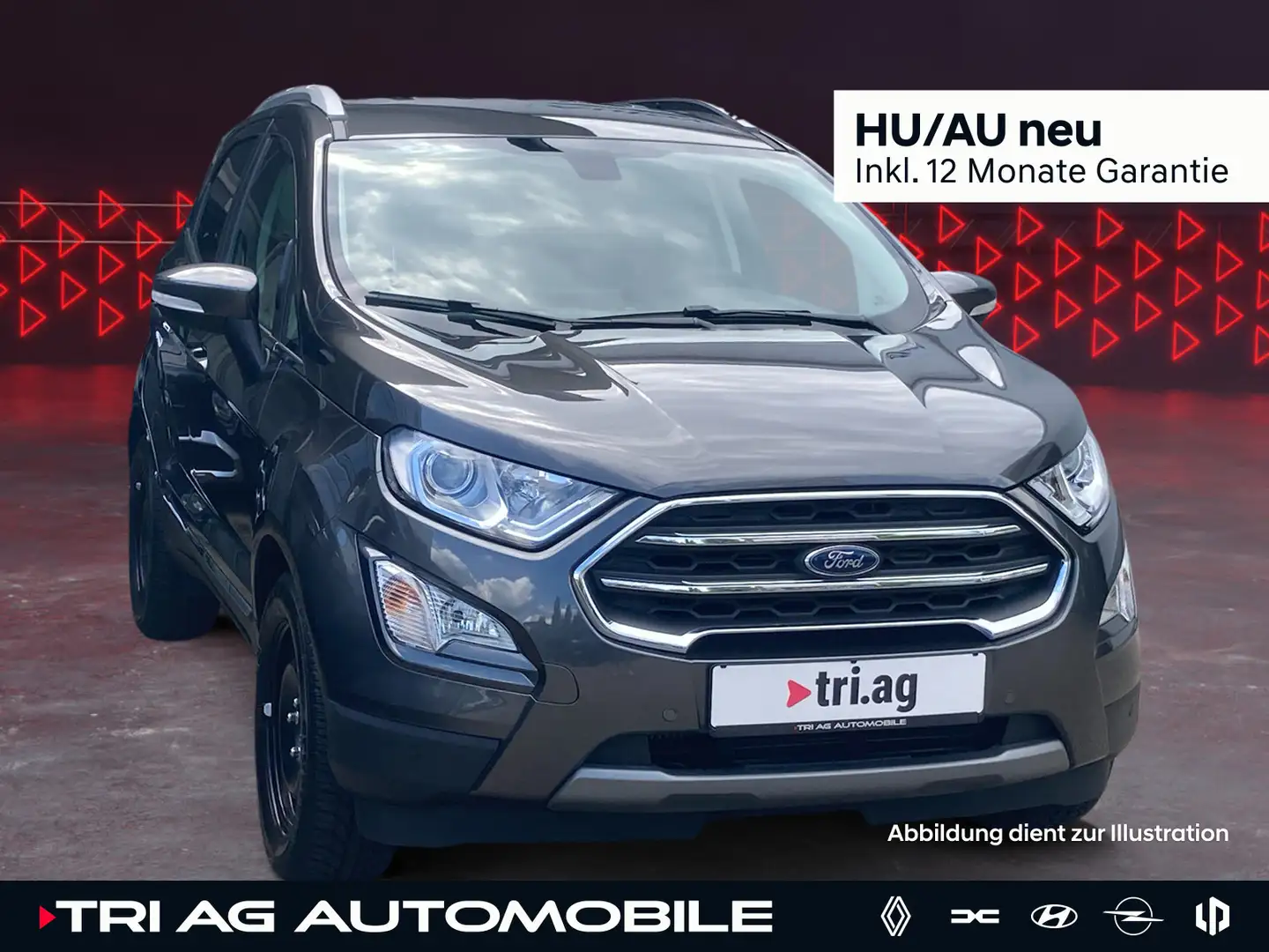 Ford EcoSport Easy-Driver-Paket 2 Winter-Paket Navig Grau - 1