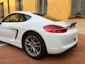 Porsche Cayman 981 6 Cilindri - Euro 6 - come nuova Bianco - thumbnail 11