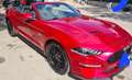 Ford Mustang Mustang+Convertible+5.0+V8+GT+450cv+auto+my20 Rosso - thumbnail 4