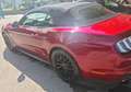 Ford Mustang Mustang+Convertible+5.0+V8+GT+450cv+auto+my20 Rosso - thumbnail 8