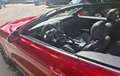 Ford Mustang Mustang+Convertible+5.0+V8+GT+450cv+auto+my20 Rosso - thumbnail 7