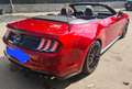 Ford Mustang Mustang+Convertible+5.0+V8+GT+450cv+auto+my20 Rosso - thumbnail 3