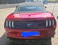 Ford Mustang Mustang+Convertible+5.0+V8+GT+450cv+auto+my20 Rosso - thumbnail 9