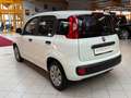 Fiat Panda 1.2 Pop|Klima|Isofix|5 Türer|weiß/&rot| Білий - thumbnail 4