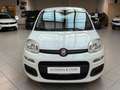 Fiat Panda 1.2 Pop|Klima|Isofix|5 Türer|weiß/&rot| Білий - thumbnail 9