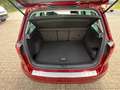 Volkswagen Golf Sportsvan 1.5 TSI Highline mit Standheizung Rot - thumbnail 12