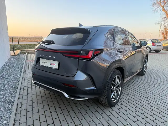 Lexus NX 350h E-Four F SPORT Aut. Ansicht 6