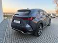Lexus NX 350h E-Four F SPORT Aut. Grau - thumbnail 6