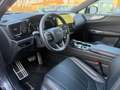 Lexus NX 350h E-Four F SPORT Aut. Grau - thumbnail 9