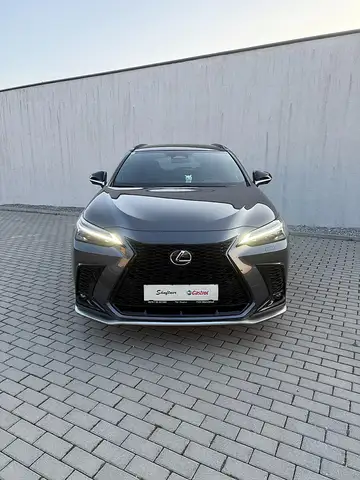 Lexus NX 350h E-Four F SPORT Aut. Ansicht 2