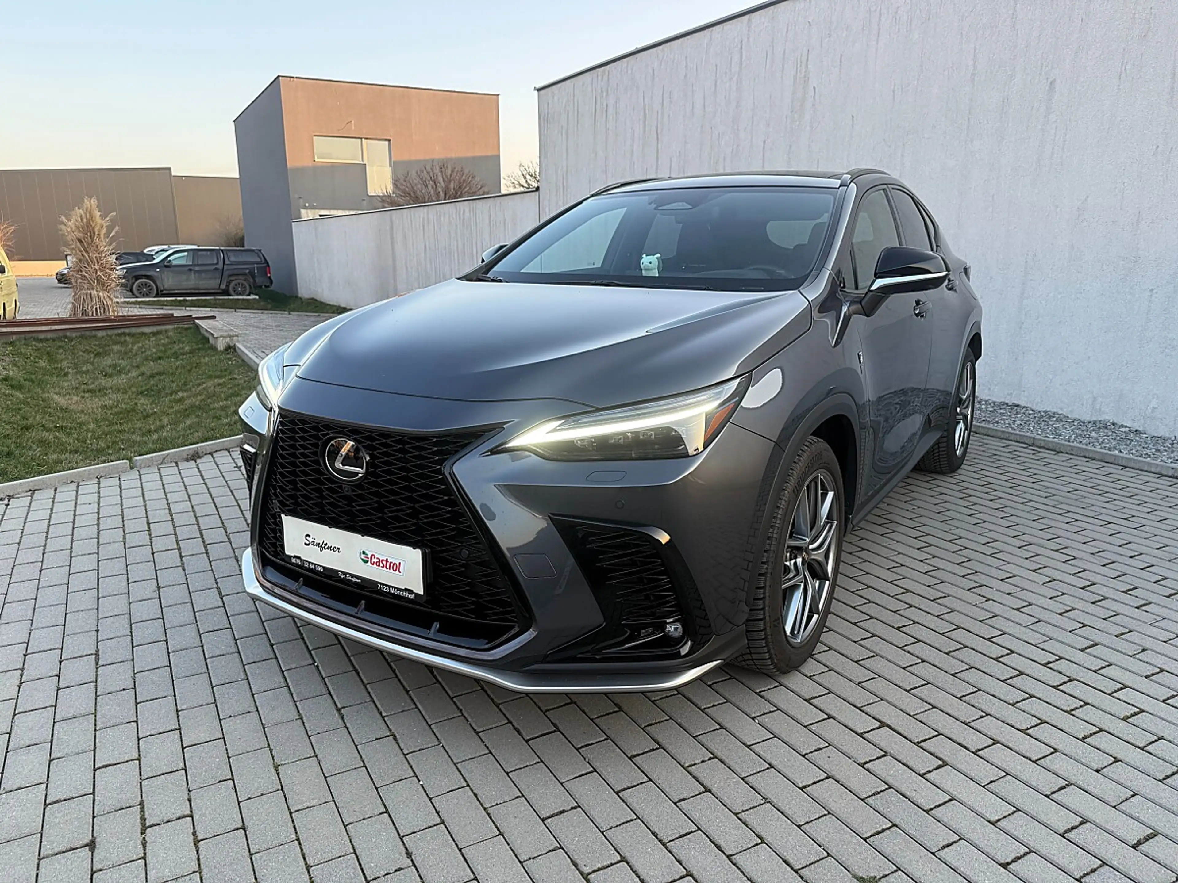 Lexus NX 350h E-Four F SPORT Aut. — photo 3