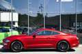 Ford Mustang Coupe 2.3 EcoBoost Navi* B&O* Premium 2* Rot - thumbnail 7