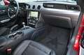 Ford Mustang Coupe 2.3 EcoBoost Navi* B&O* Premium 2* Rot - thumbnail 11