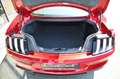 Ford Mustang Coupe 2.3 EcoBoost Navi* B&O* Premium 2* Rot - thumbnail 9