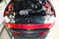 Ford Mustang Coupe 2.3 EcoBoost Navi* B&O* Premium 2* Rot - thumbnail 8