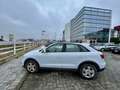 Audi Q3 Q3 2.0 tdi Business quattro 140cv s-tronic Bianco - thumbnail 5