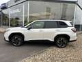 Subaru Forester 2.0i e-Boxer Luxury CVT | Safe8 | GEEN BIV + STOCK Blanc - thumbnail 2
