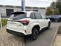 Subaru Forester 2.0i e-Boxer Luxury CVT | Safe8 | GEEN BIV + STOCK Blanc - thumbnail 5